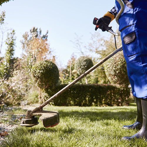 Gardener with weedwacker cutting the grass in the garden